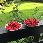 Retro Idyll And Bird Sounds In Quiet Oasis Σπίτι διακοπών *
