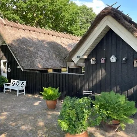 Retro Idyll And Bird Sounds In Quiet Oasis Casa vacanze *