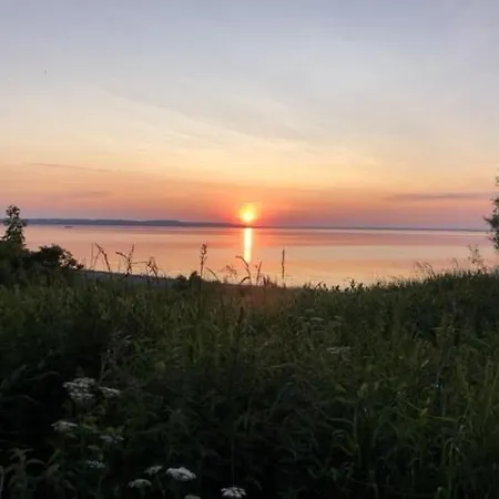 Retro Idyll And Bird Sounds In Quiet Oasis