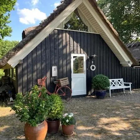 Retro Idyll And Bird Sounds In Quiet Oasis * Asperup