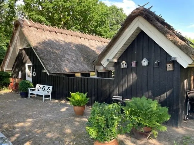 Retro Idyll And Bird Sounds In Quiet Oasis Casa vacanze *