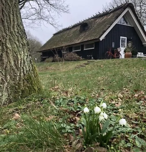 Casa vacanze Retro Idyll And Bird Sounds In Quiet Oasis Asperup