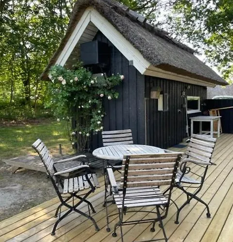 Retro Idyll And Bird Sounds In Quiet Oasis Casa vacanze