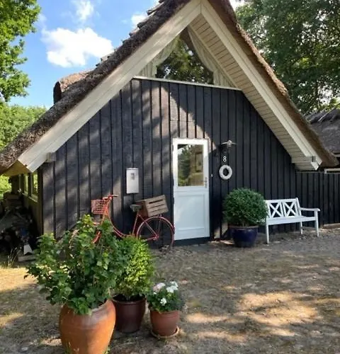 Retro Idyll And Bird Sounds In Quiet Oasis * Asperup
